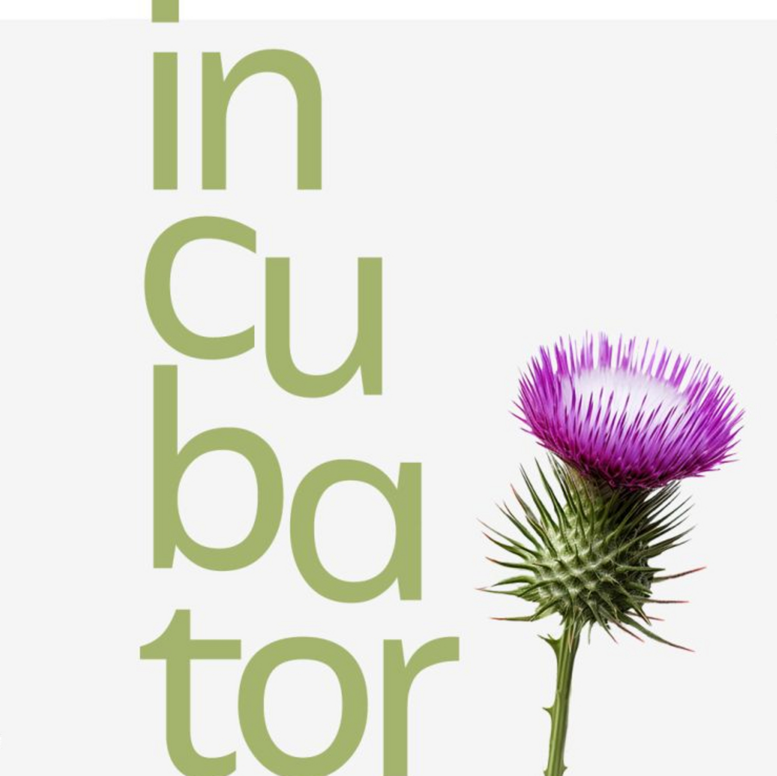 Informative image advertising Incubator 2024