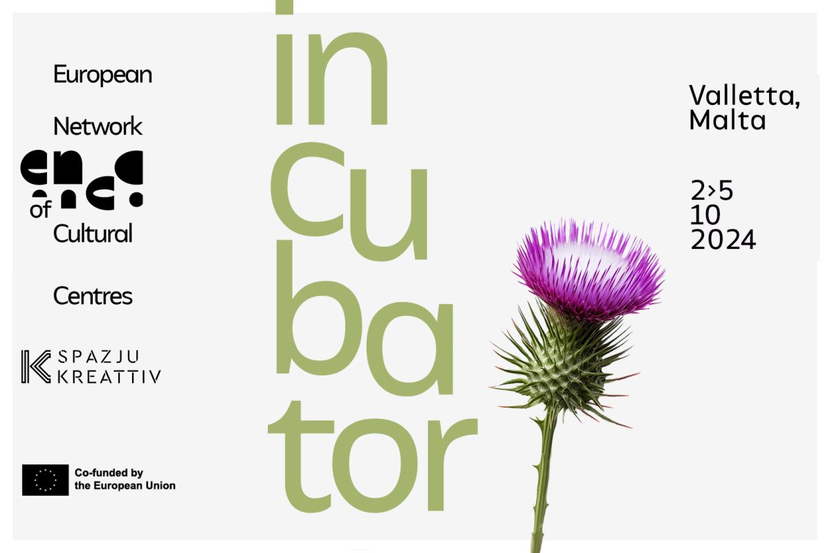 Informative image advertising Incubator 2024